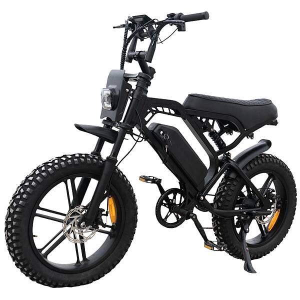 V20 Xtreme fatbike